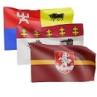 Miestų bei regionų vėliavos