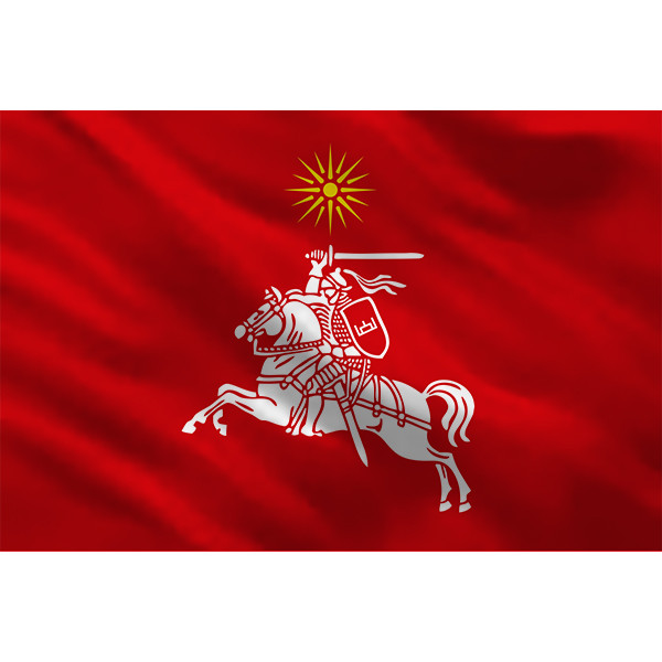 Vyčio vėliava VII