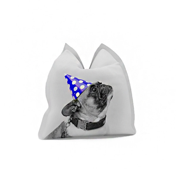 Sėdmaišis PILLOW su spauda