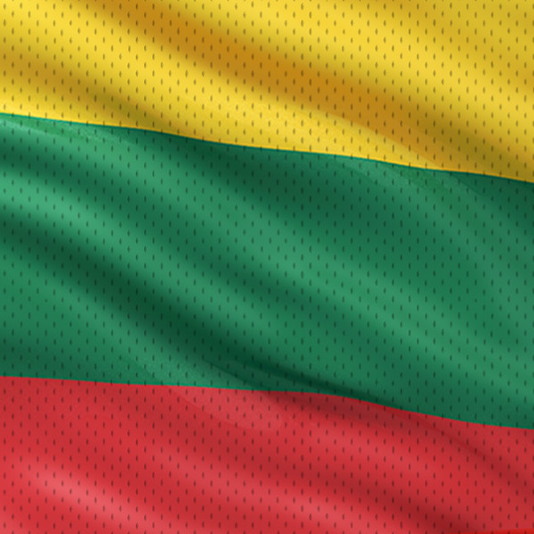 Lietuvos valstybinė vėliava MESH